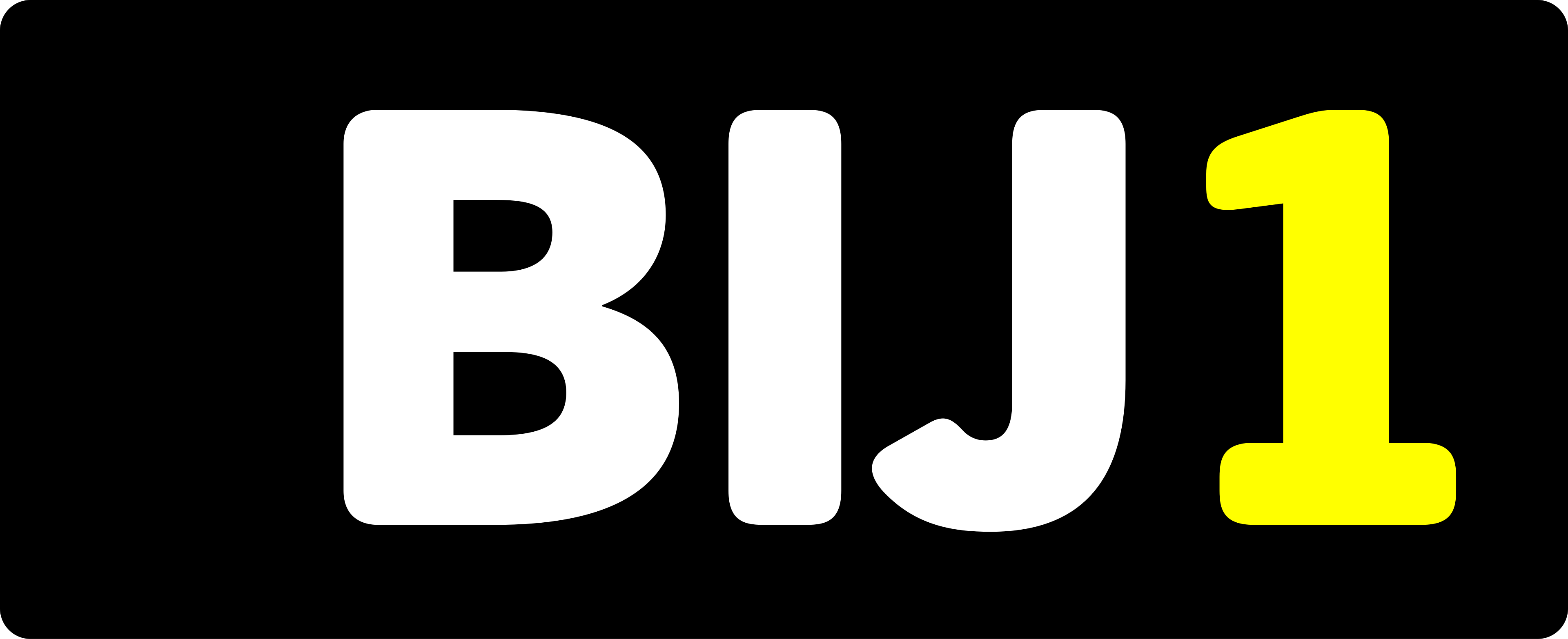 BIJ1 logo